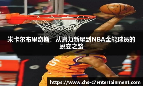 c7娱乐公司